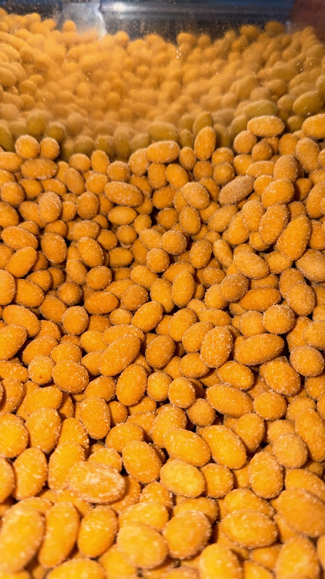 سوداني جبنة